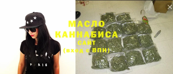 мдпв Бородино