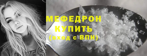 мдпв Бородино