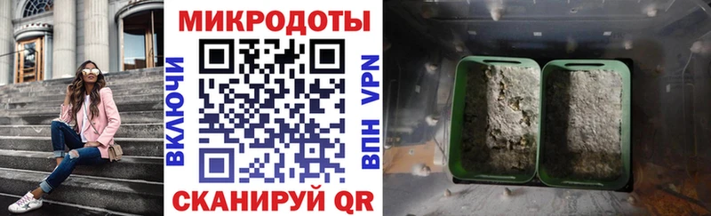 магазин продажи наркотиков  Волгореченск  Псилоцибиновые грибы Magic Shrooms 